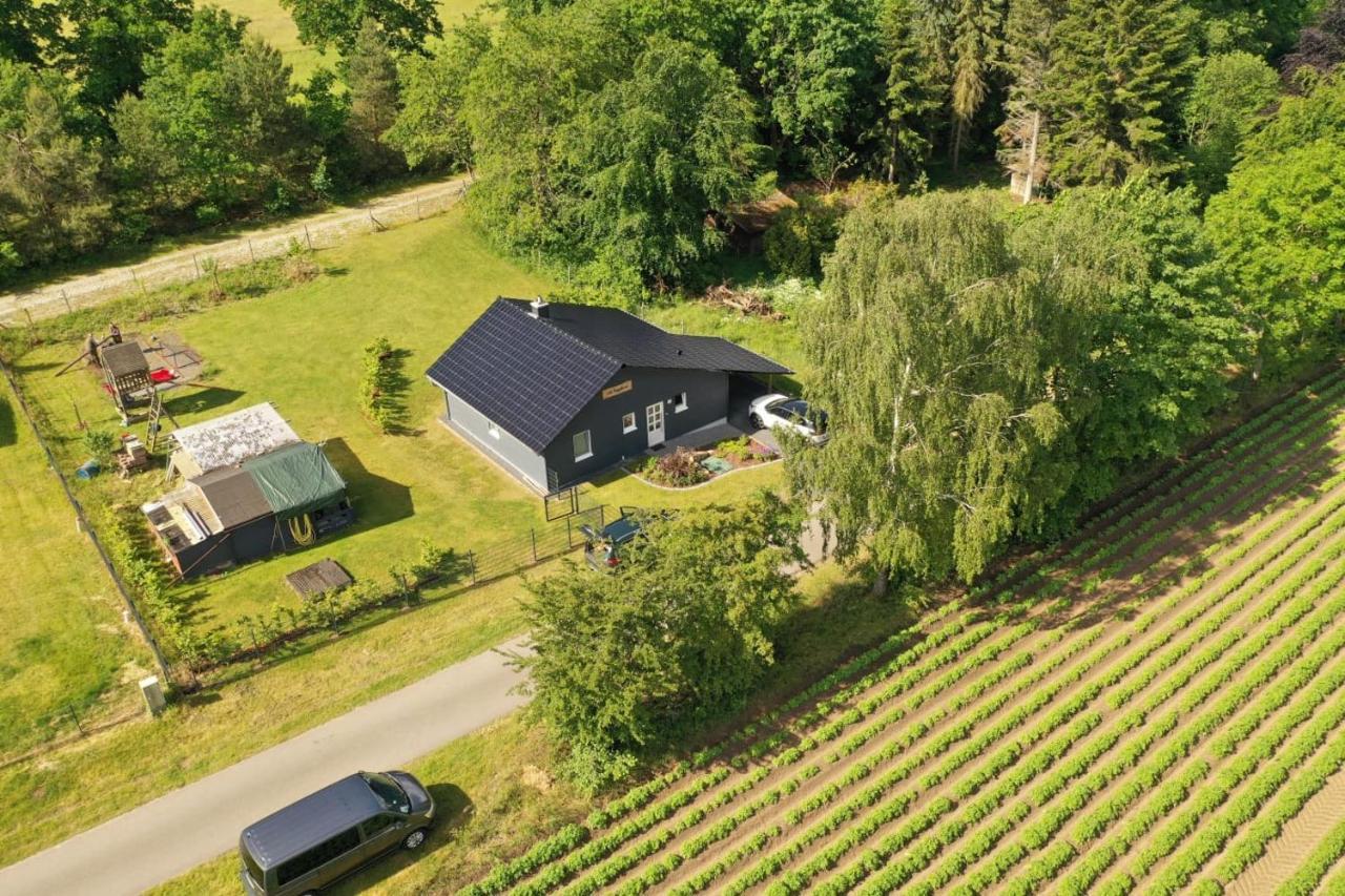 Ferienhaus “ Lille Hyggehytte“ Altenmedingen Exteriér fotografie